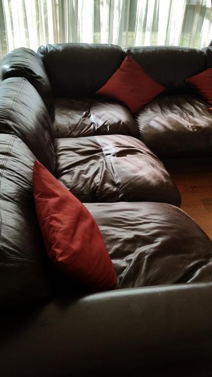 ヨハネスブルグ 6 On Acacia Bed & Breakfast エクステリア 写真